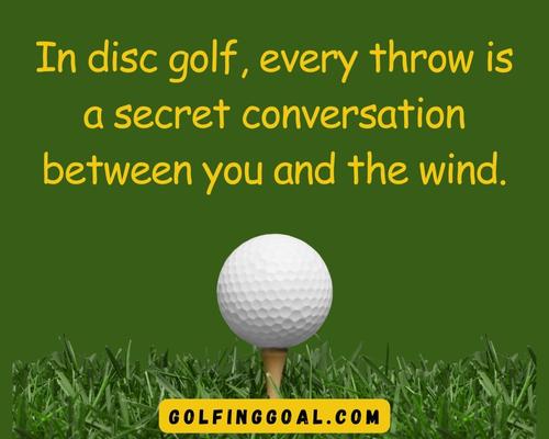 Funny Disc Golf Sayings