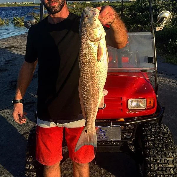Go For A Fishing On Golf Cart