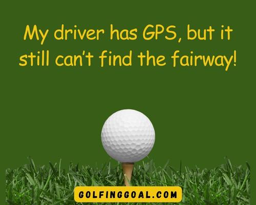 Hoodies With Funny Golf Sayings