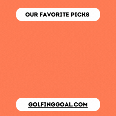 Our Favorite Picks.