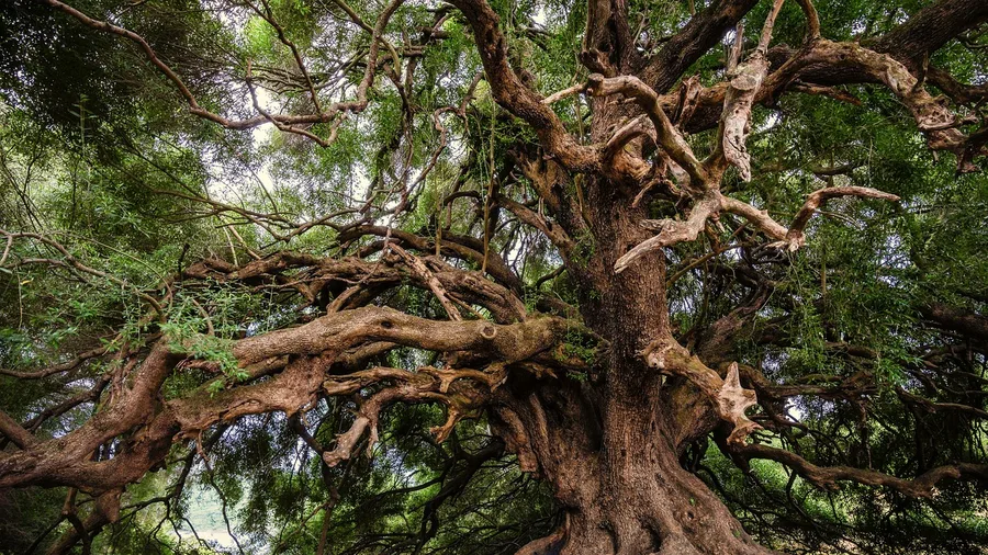 Nature's Process Is Not a Personal Attack