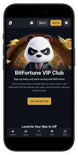 Playing Responsibly at The Bitfortune Site A Guide to Responsible Gambling