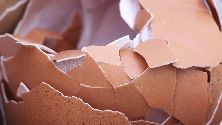 Anticipating Conflict Before It Starts Stems From Walking on Eggshells
