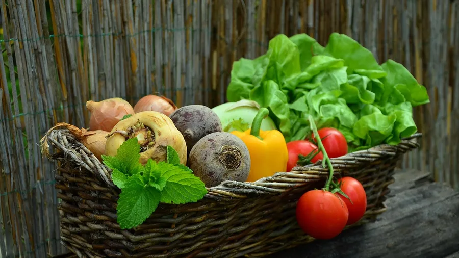 Rigid 'superfood' diets are rare