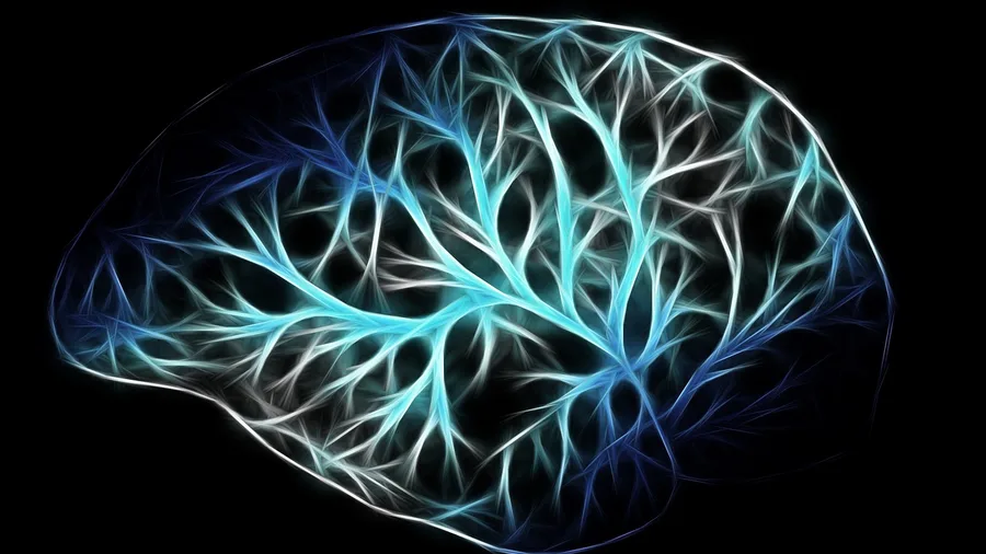 What Happens in Your Own Brain During the Count