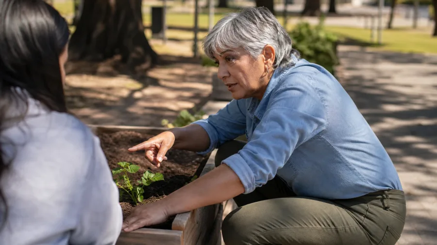 Cultivate Intergenerational and Peer Mentorship Loops
