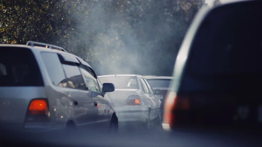 Air Pollution Damages Skin and Lungs